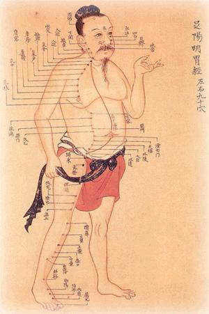 Acupuncture Chart